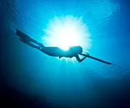 Spear Fishing - Island Time Charters Key West